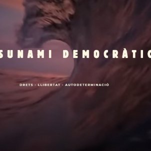 tsunami democràtic web