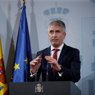 Marlaska cesa un jefe de la Guardia Civil por el escándalo de vacunas del JEMAD