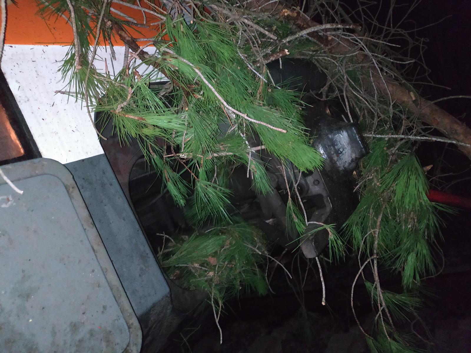 Un tren choca con un árbol talado intencionadamente entre la Garriga y las Franqueses