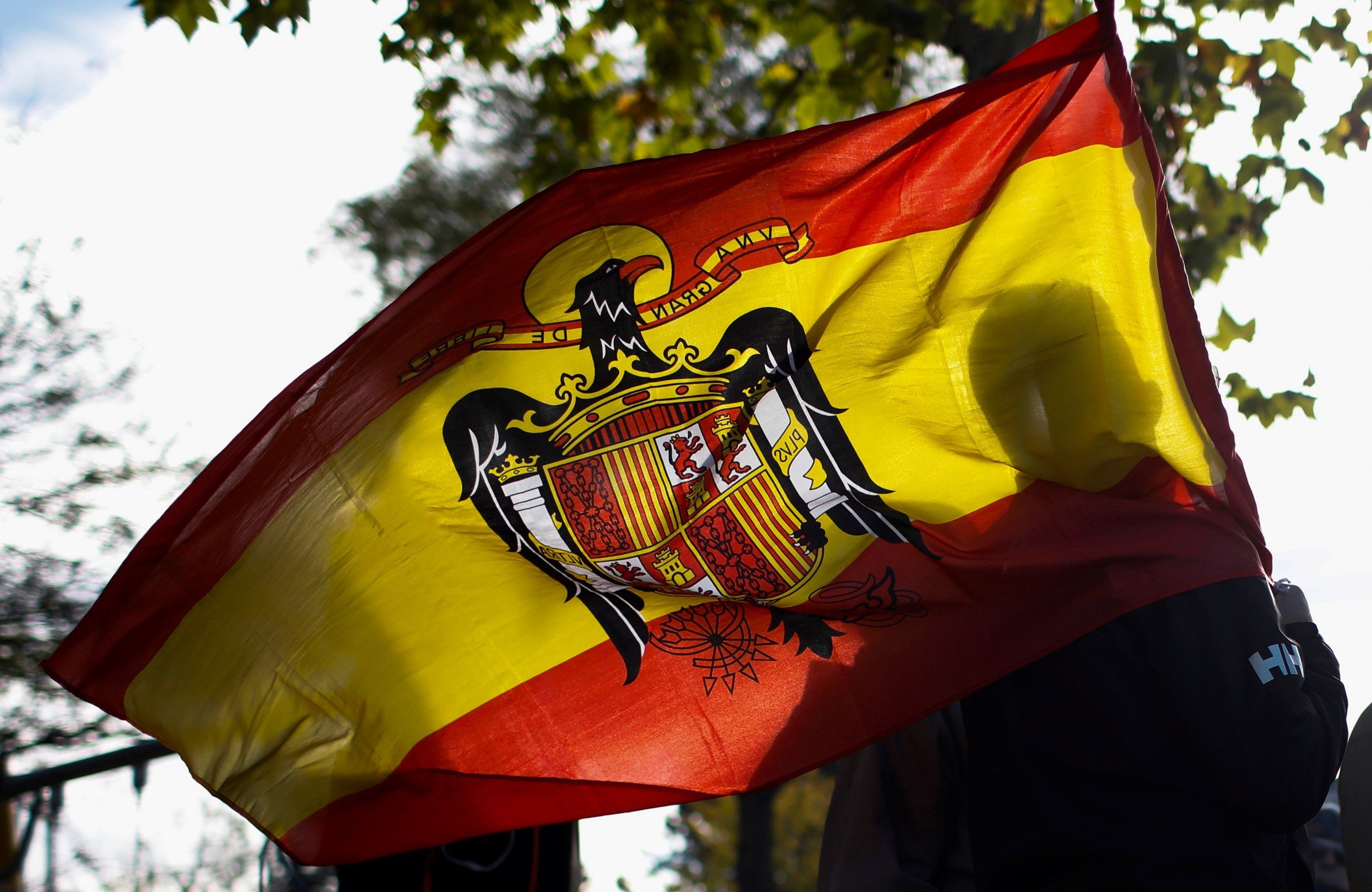 VÍDEO | La pifia del nieto de Franco con la bandera de la dictadura