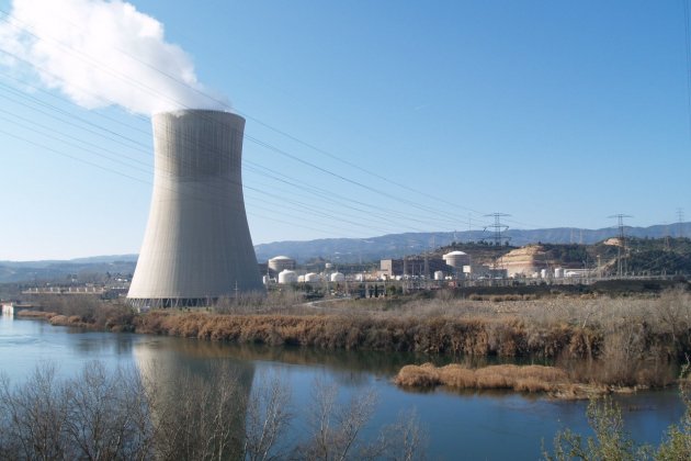 central nuclear endesa 2