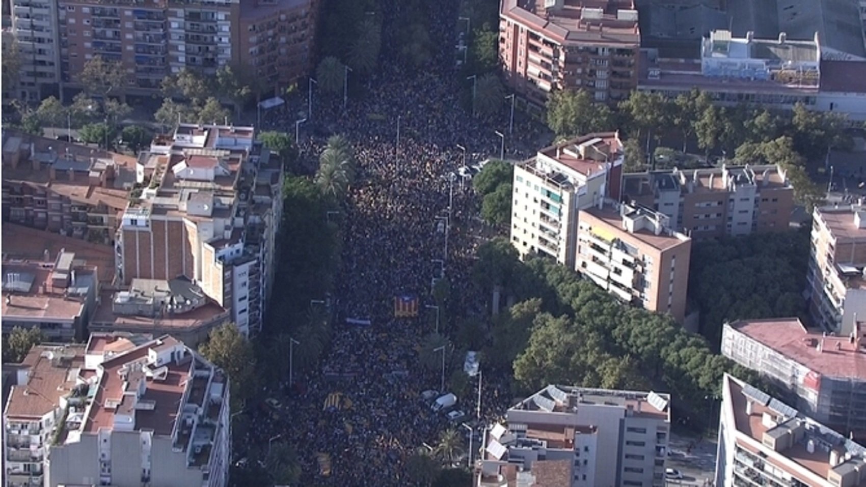 Videos: Saturday's huge Barcelona march seen from the air