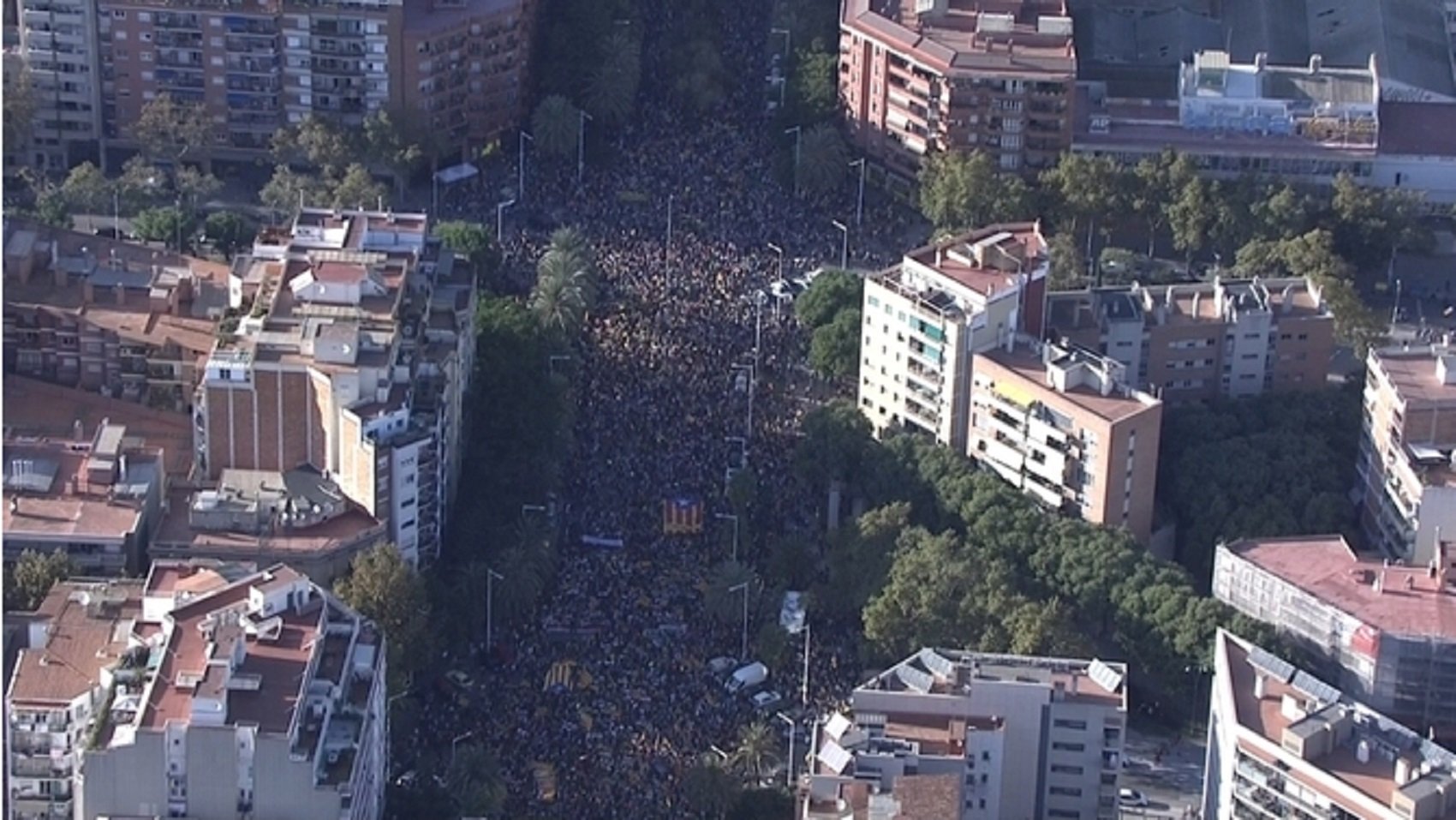 La manifestación por la "Libertad" vista desde el aire