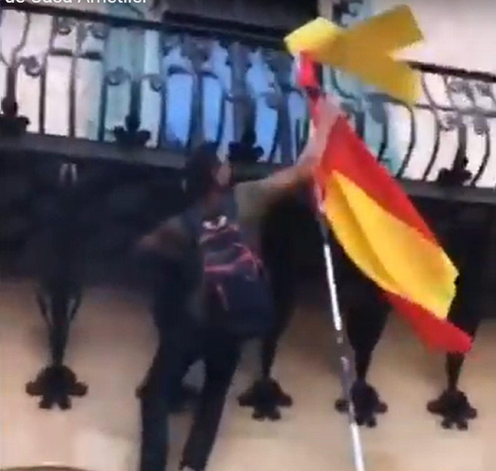VÍDEO | Los españolistas, contra el lazo amarillo de Casa Amatller