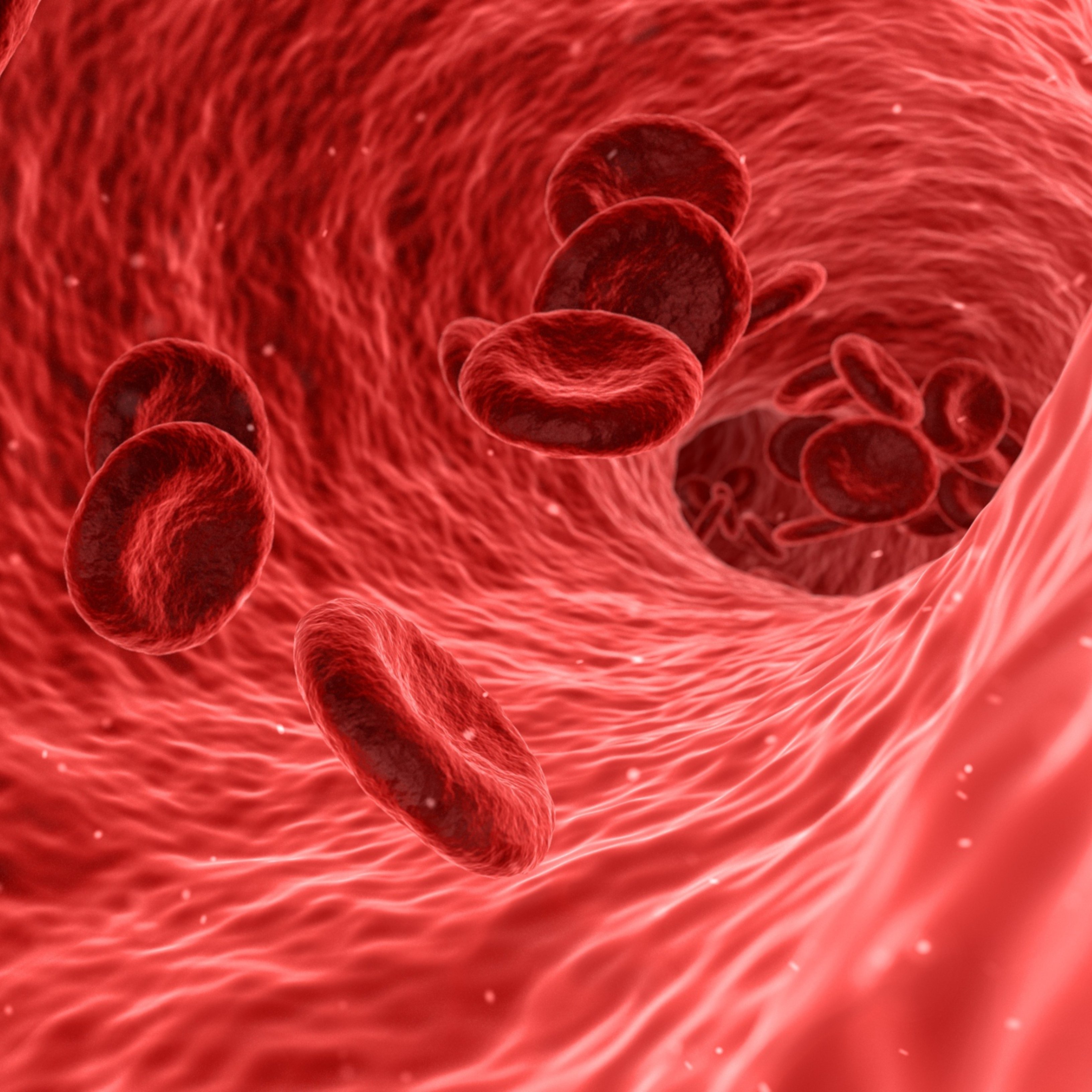 Qué es el doppler vascular, la prueba para comprobar la salud de tus arterias