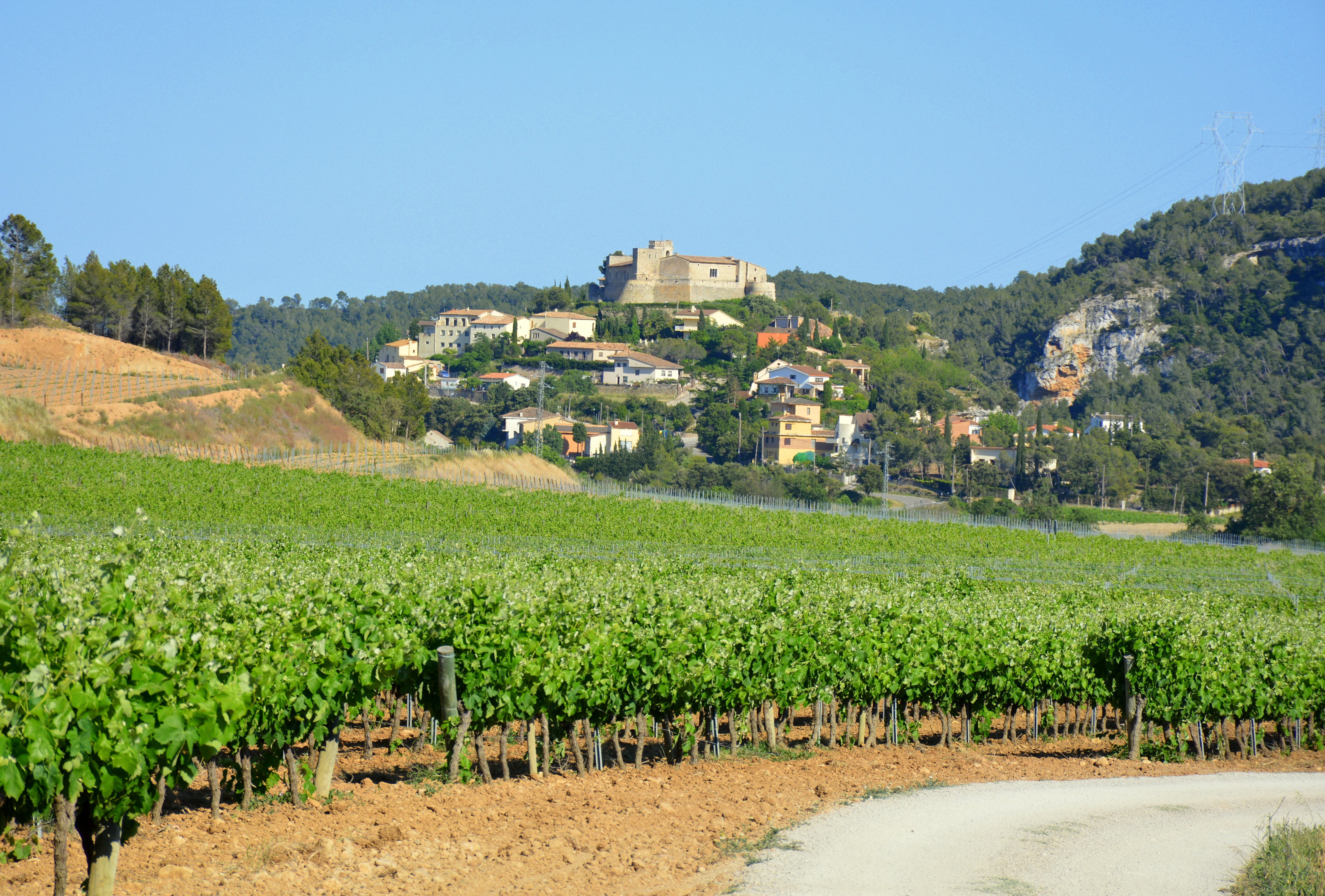 'Most': el festival del cine del vino y del cava aterriza en el Penedès y el Priorat