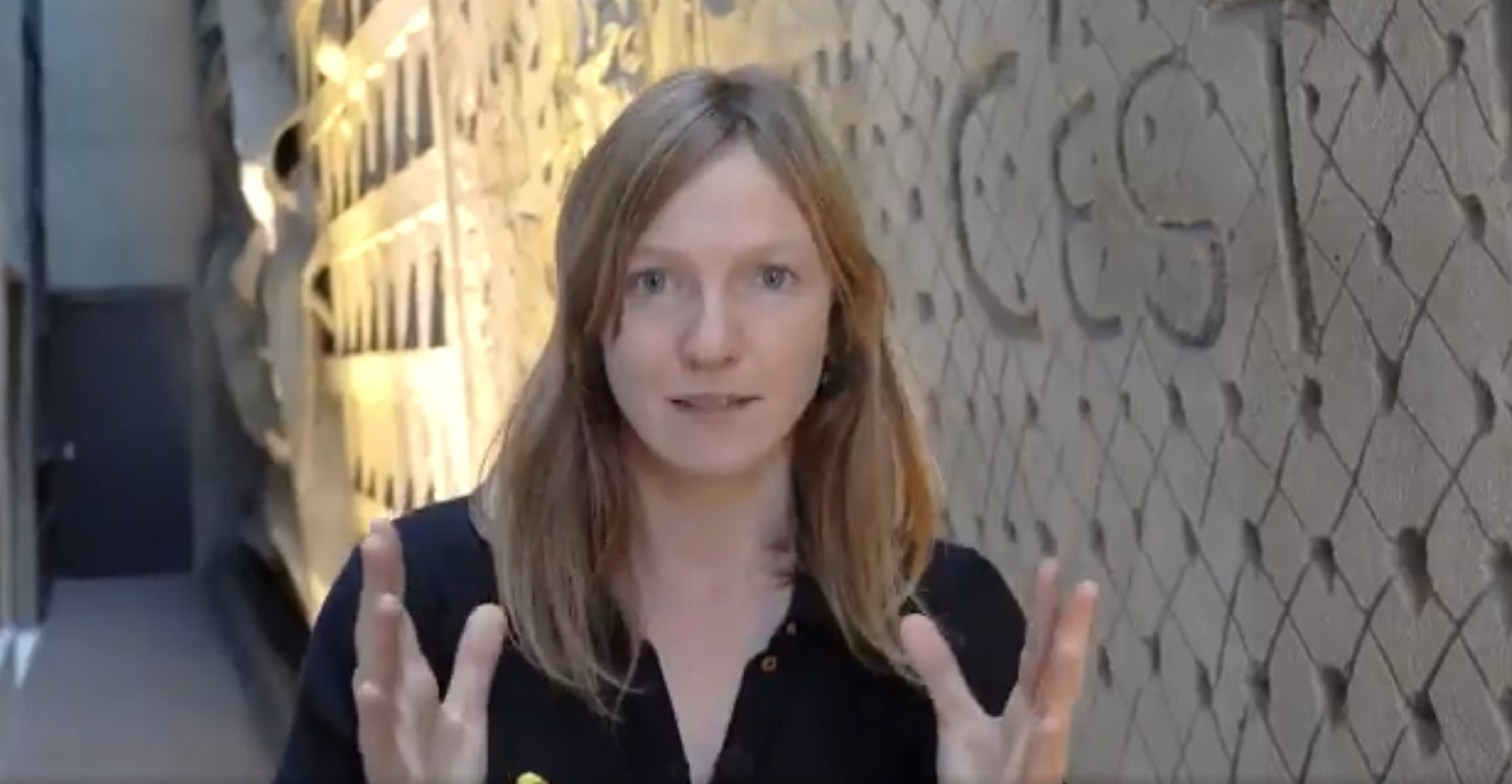 Una diputada quebequesa: "Amics catalans, no esteu sols"