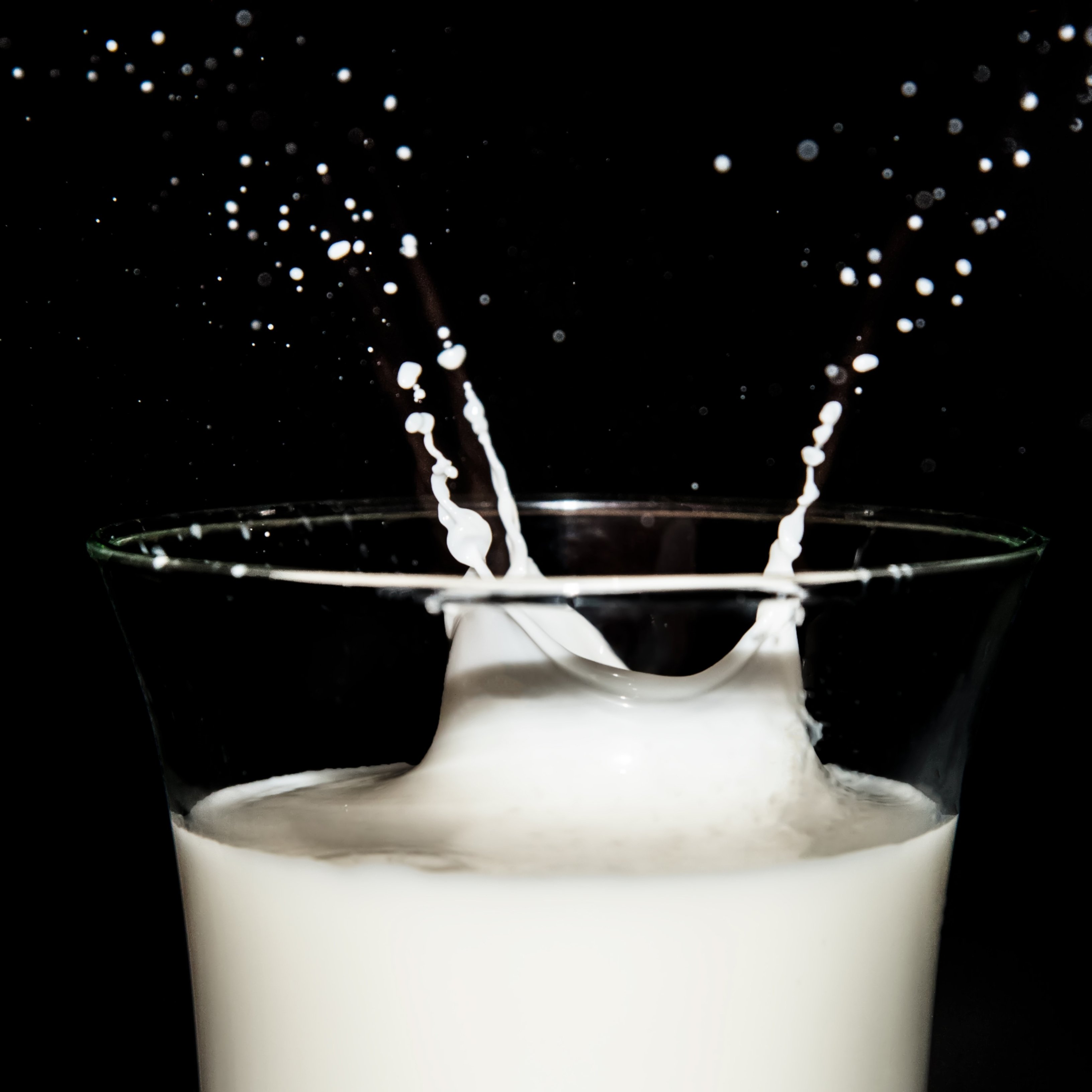 Conoce los pros y los contras del consumo de leche de vaca