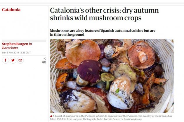 the guardian catalunya