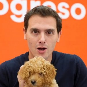 rivera gos rivera gos