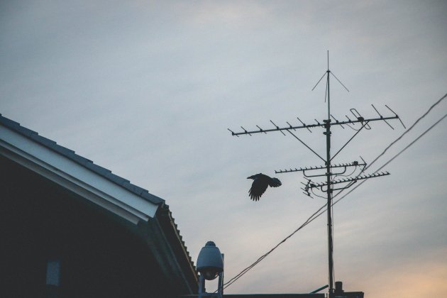 antena -- unsplash