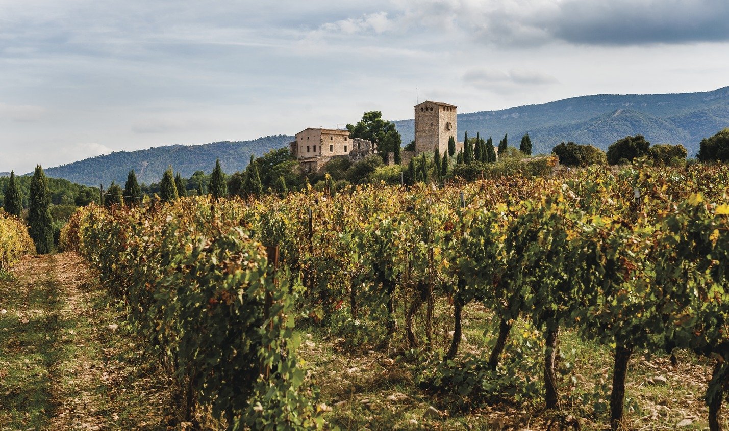 Un vi únic en una regió vinícola catalana per descobrir