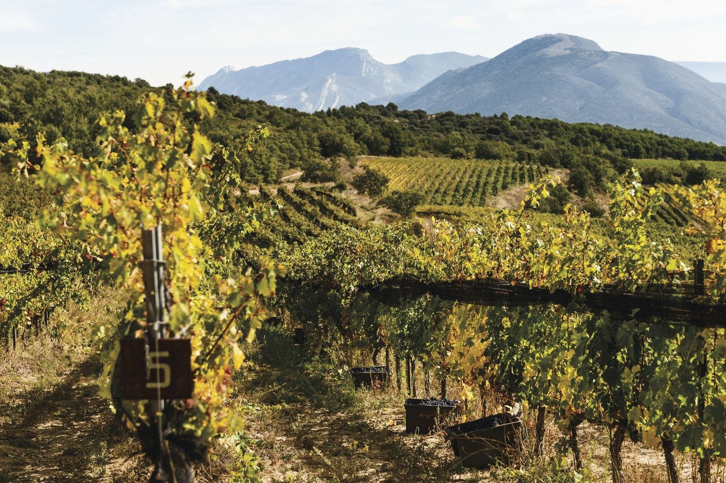 Catalunya, tierra de vinos con historia