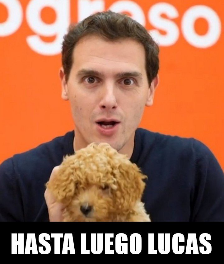 meme Albert Rivera