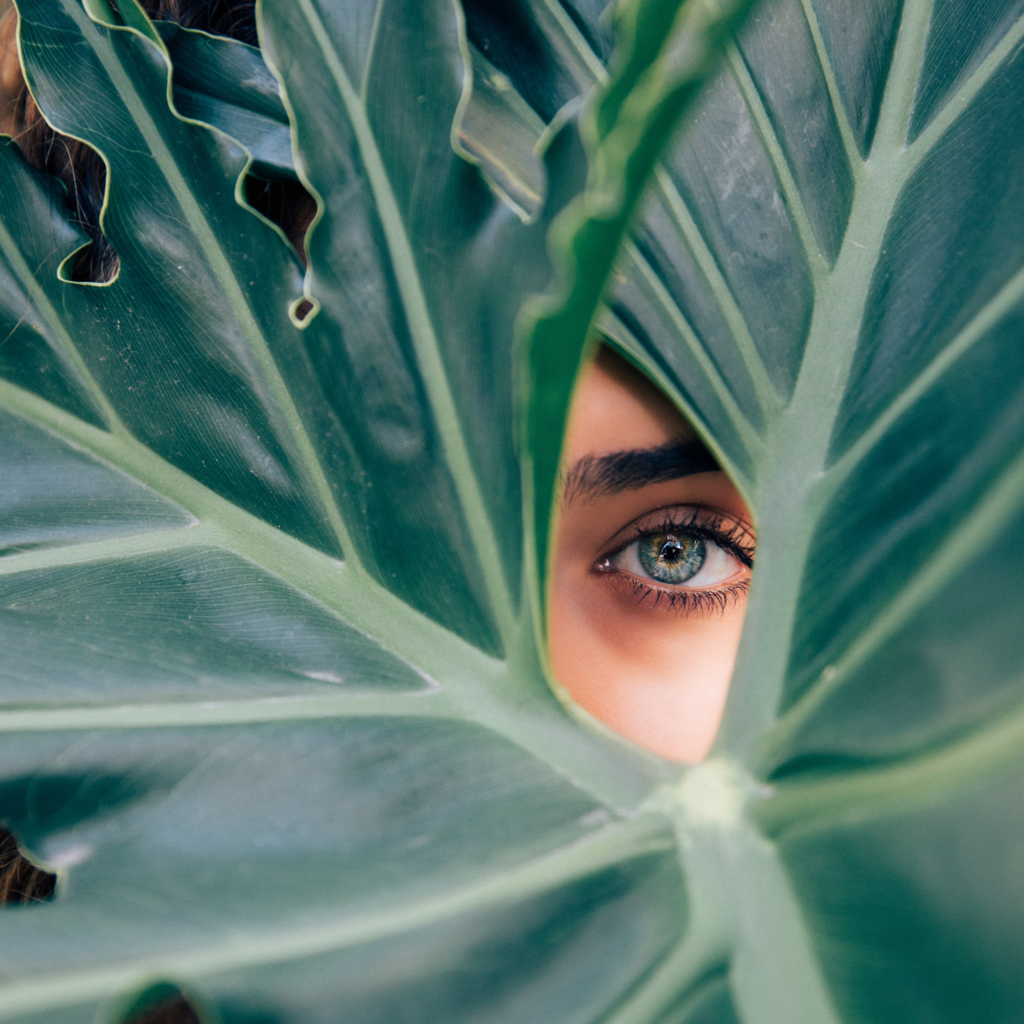 La ciencia logra la detección de accidentes cardiovasculares a través de los ojos