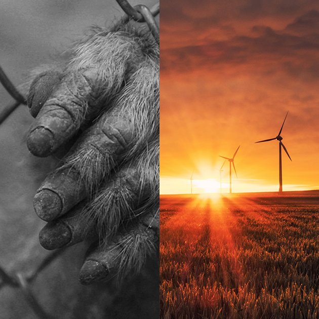 Quines notícies vols llegir el 2050?