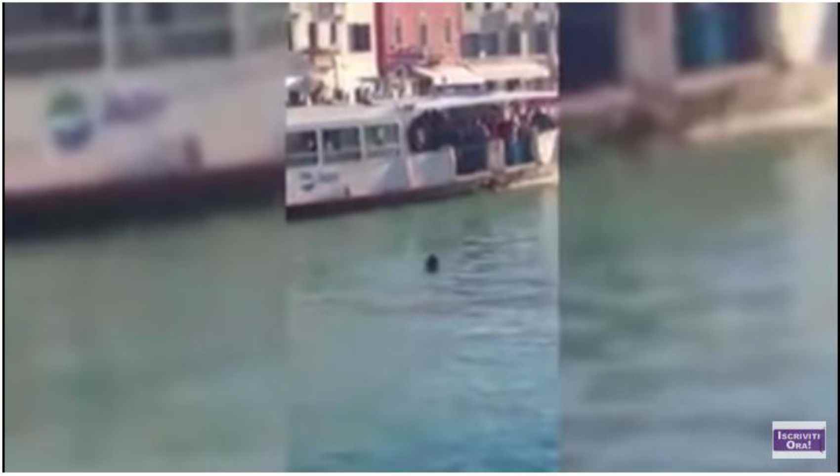 Mor un immigrant als canals de Venècia entre insults i indiferència