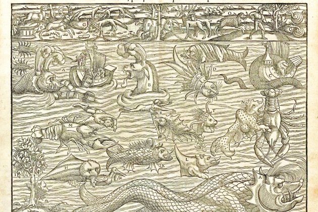 Monstruos marinos Cantos de Sirena Museo Marítimo