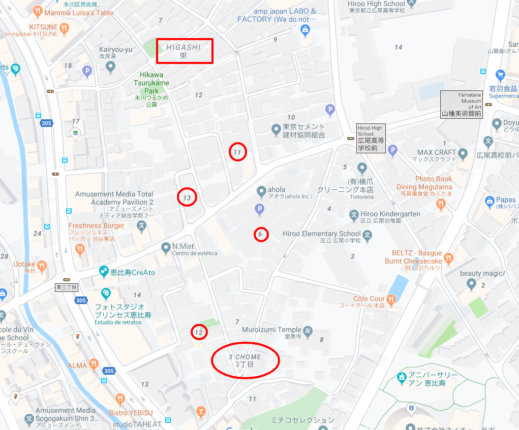 Japón Google Maps