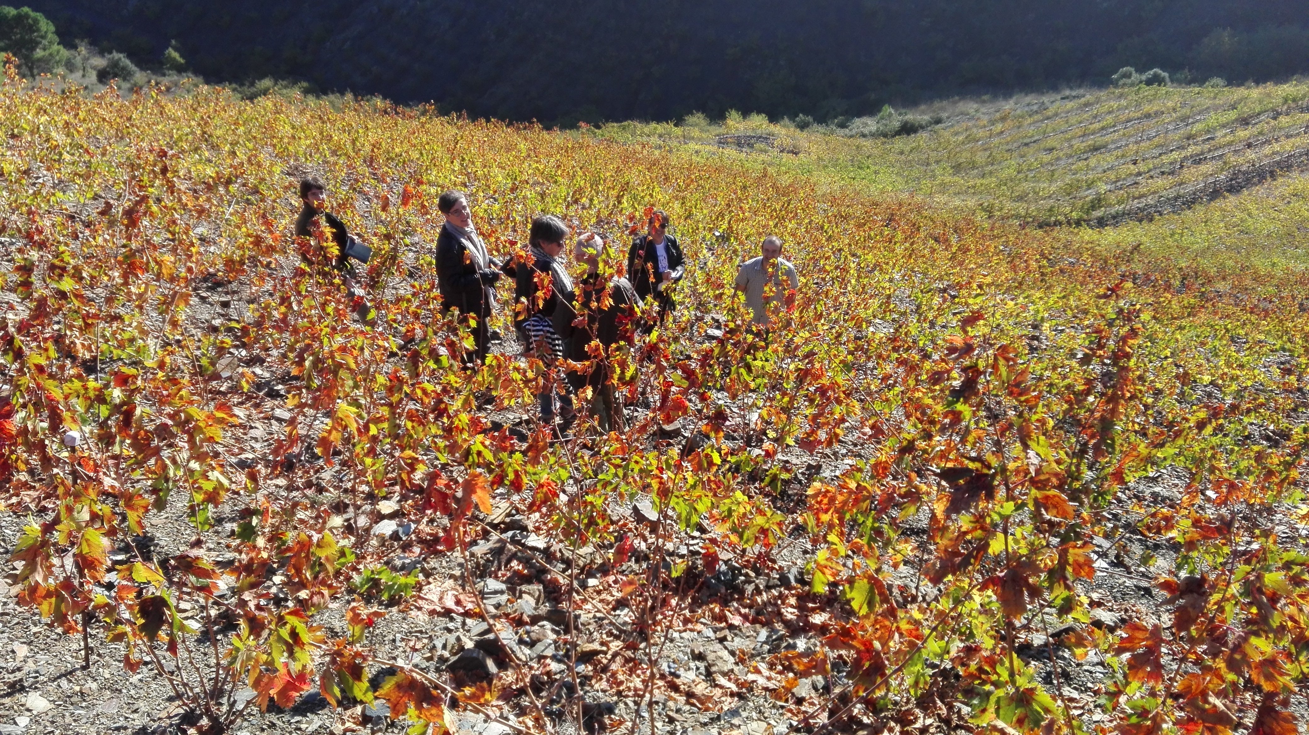 'Priorat en persona': cuando el vino y la literatura se dan la mano