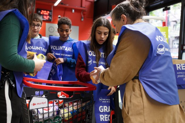 Gran Provisión de Alimento 2019 Mireia Comas