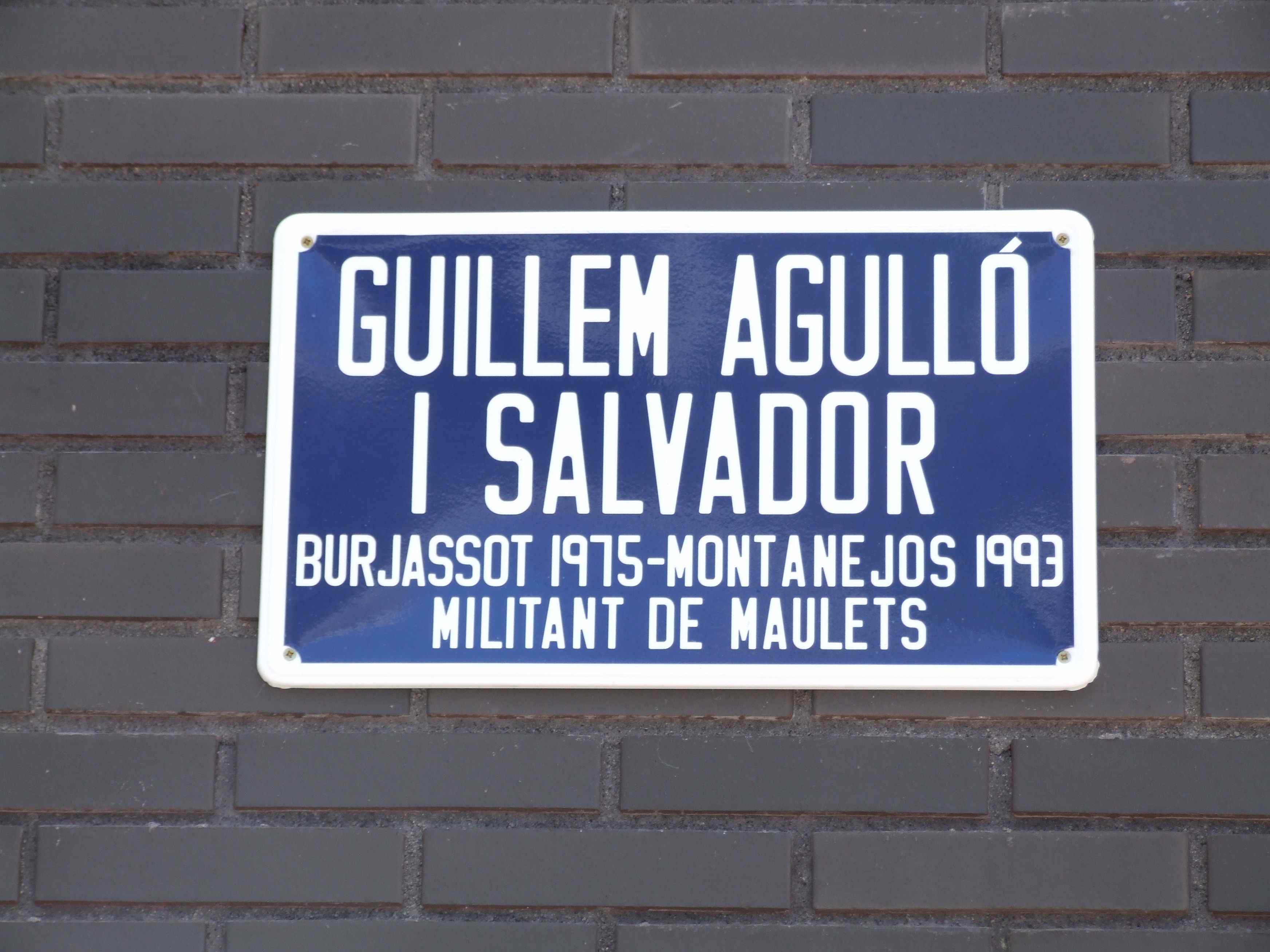 Barcelona dedicarà un carrer a Guillem Agulló (amb l’única oposició del PP)