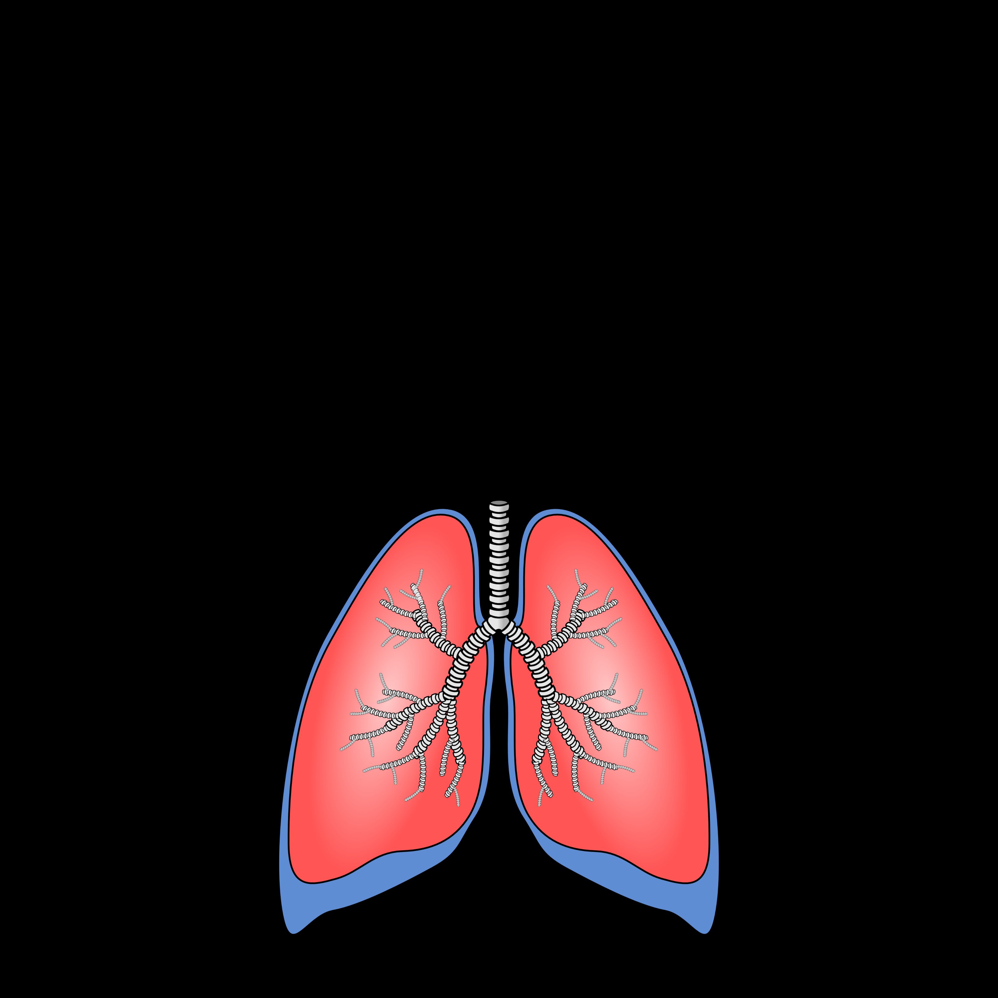 No deixes de tenir infeccions en les vies respiratòries? Pots patir bronquiectàsia