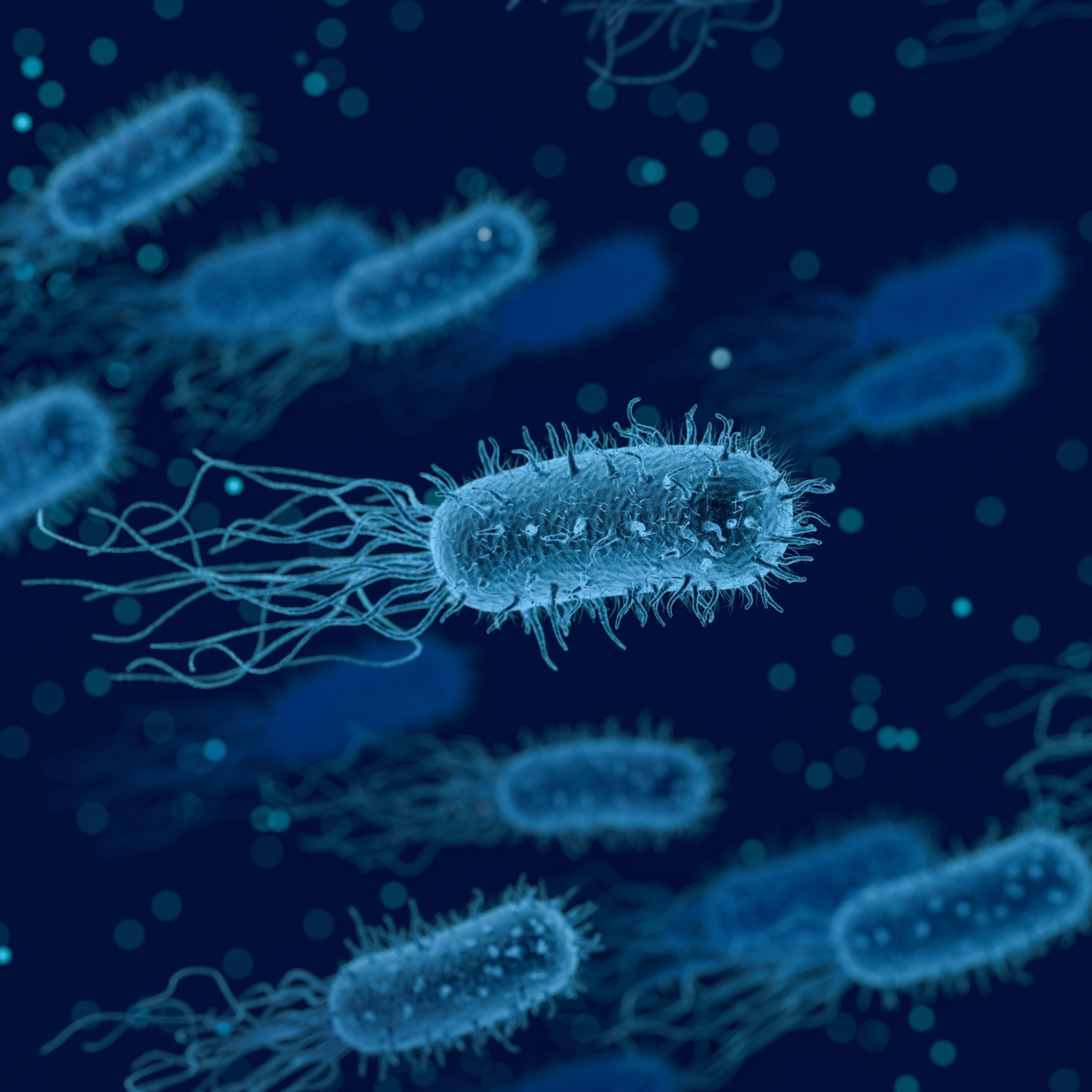 Los fagocitadores de bacterias, ¿el posible sustituto de los antibióticos?
