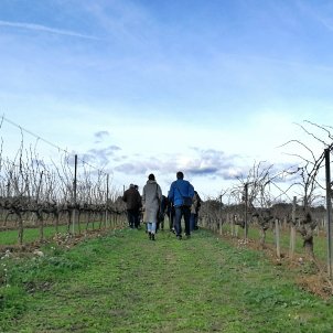 Raventós i Blanc vinyes 6 Raventós i Blanc vinyes 6