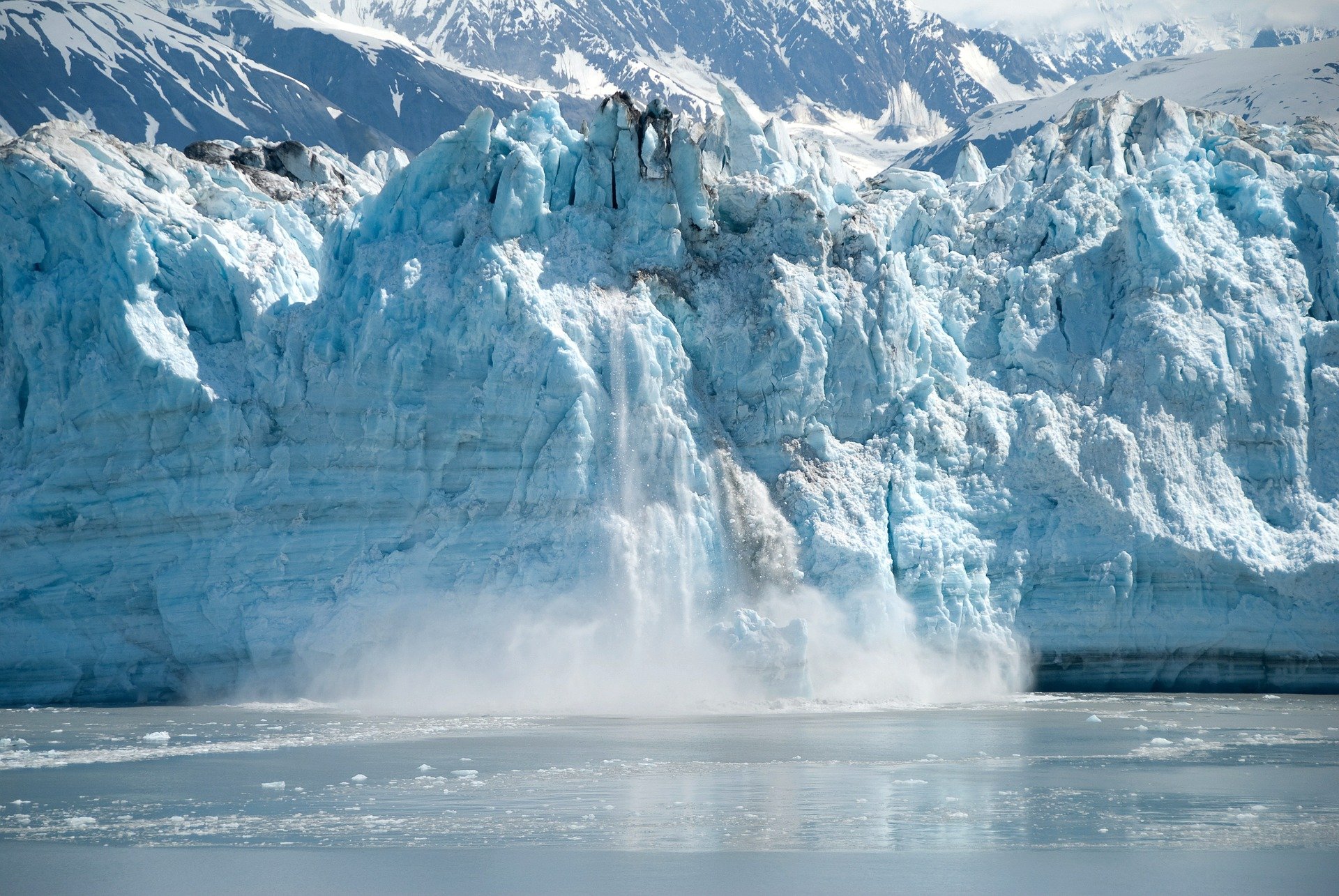 "Emergència climàtica" i "animalista", els neologismes  del 2019