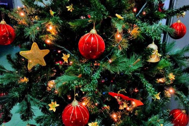 nadal unsplash nadal unsplash