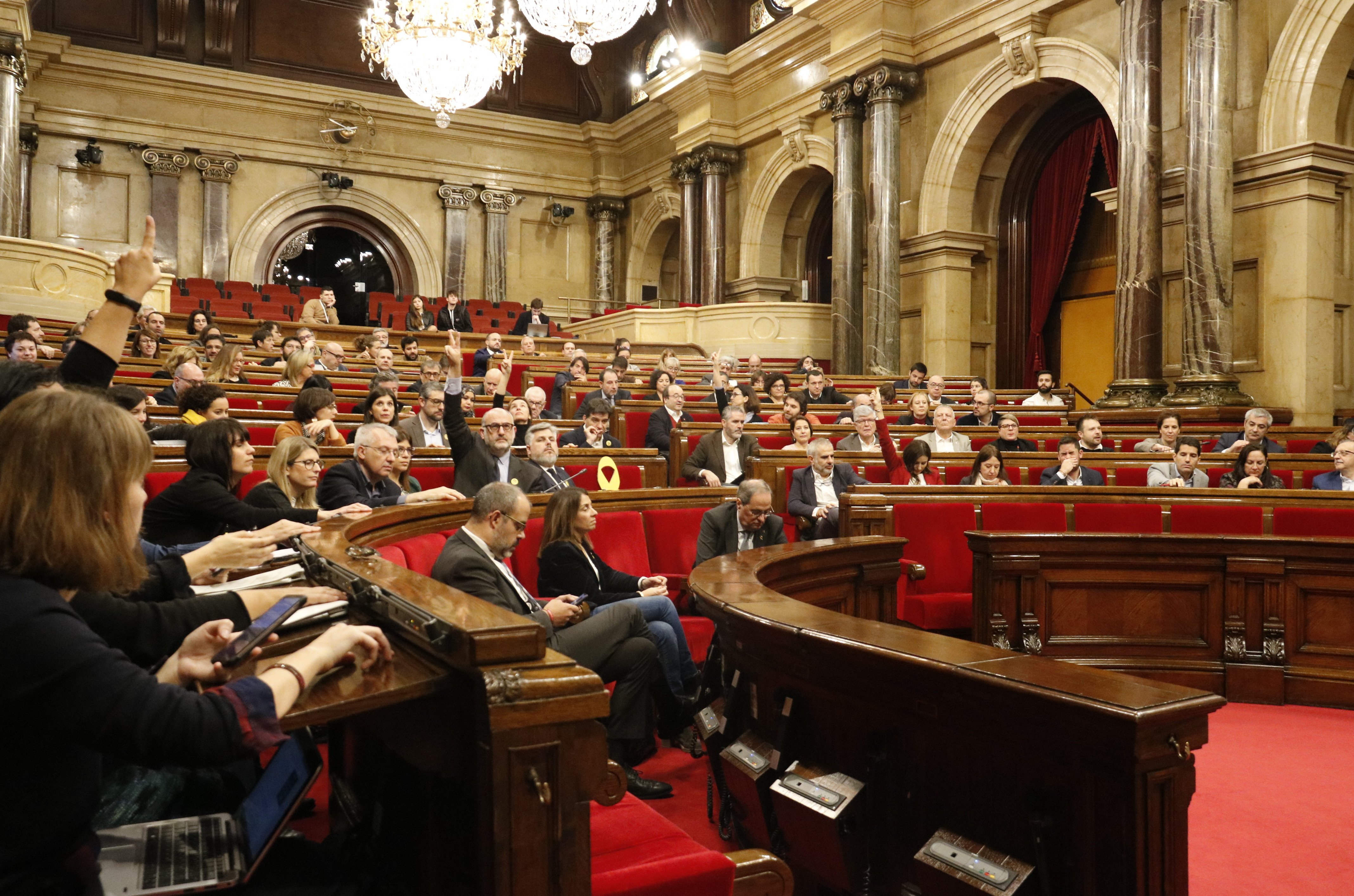 Pas del Parlament en la lluita per la igualtat i contra la violència masclista