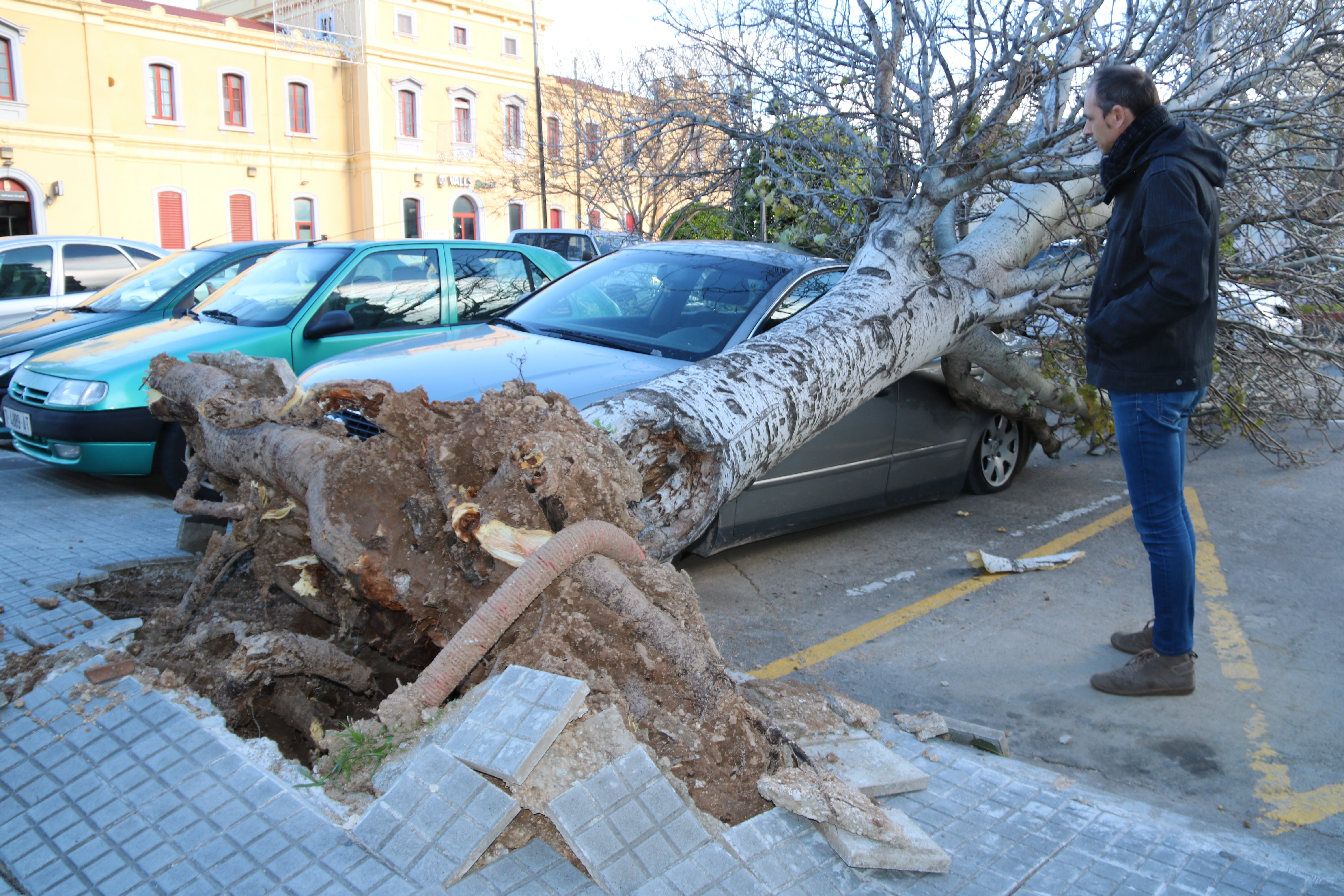 Catalunya activa la fase de alerta por viento