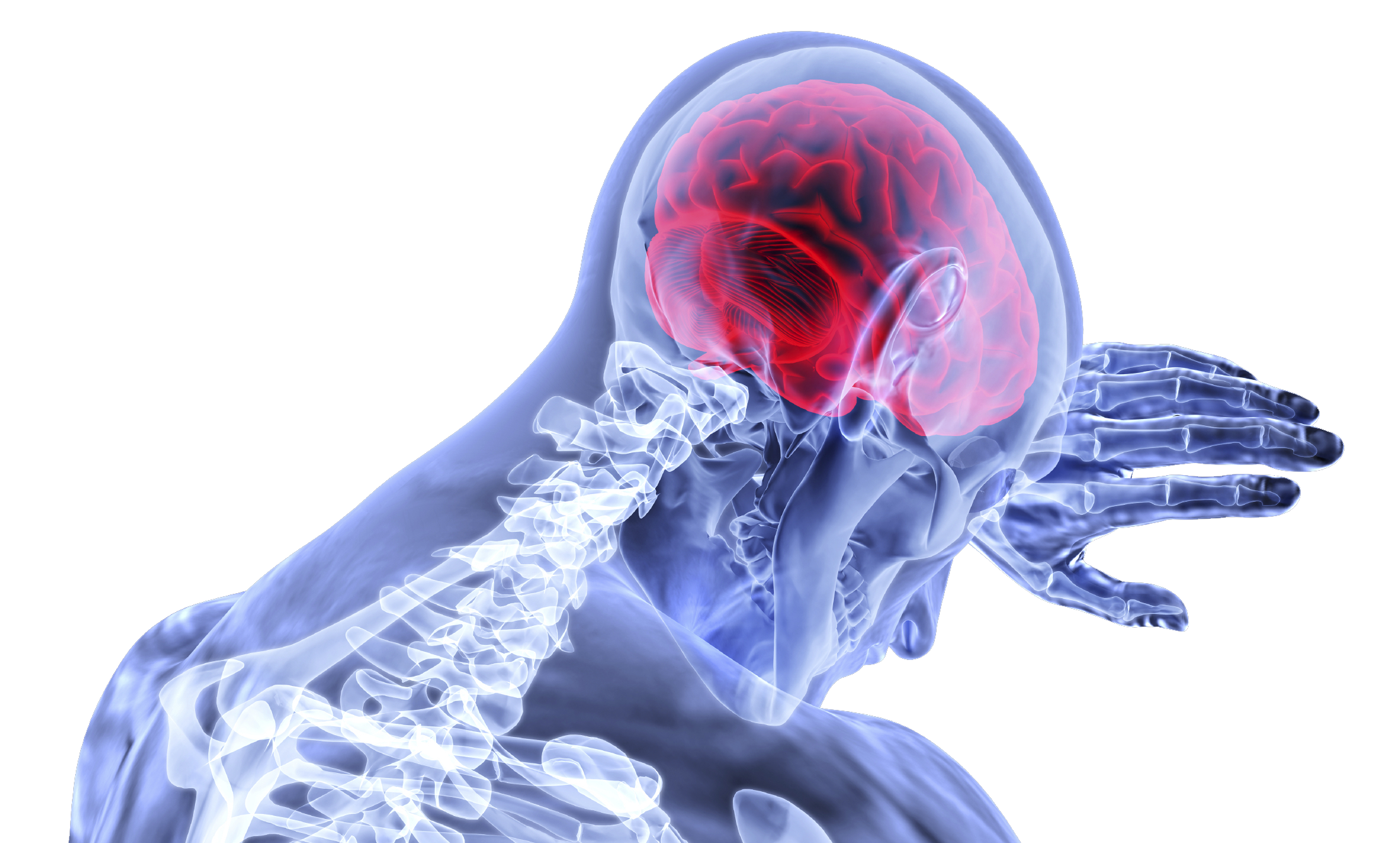 L'App Store continua generant molt més diners que Google Play