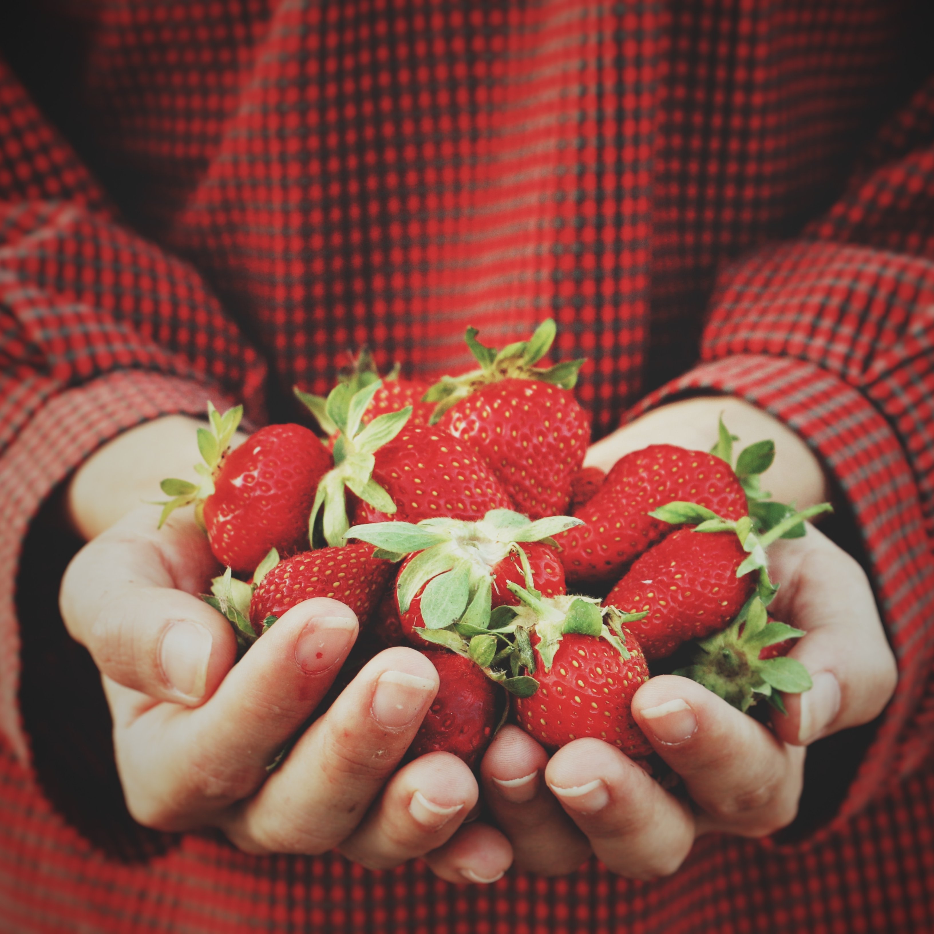 Así reducen las frutas y las verduras el riesgo de sufrir cáncer de colon