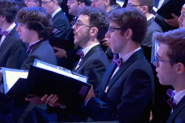 llaços groc cor orfeo - captura