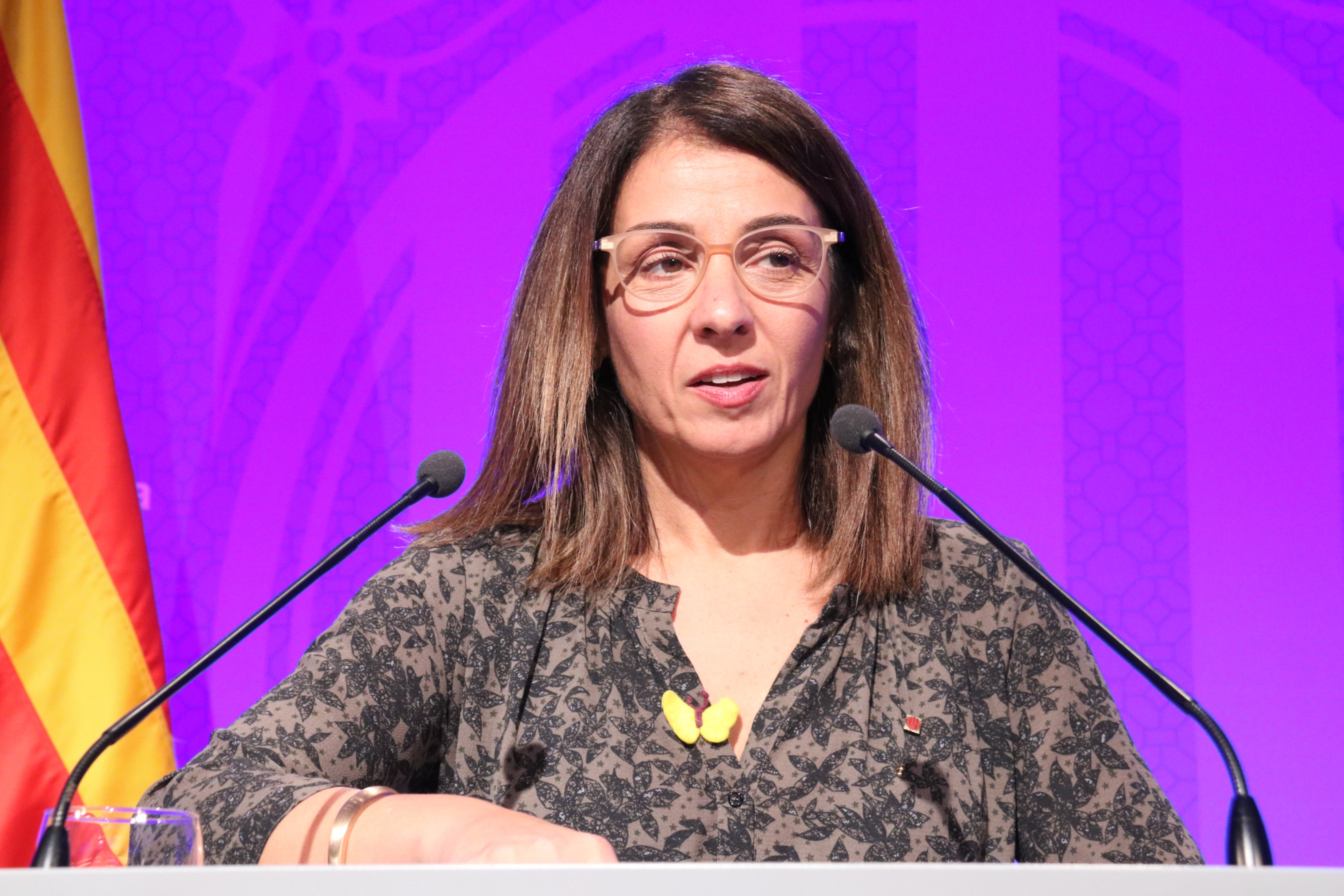 Budó diu que la decisió de l'Advocacia "no és cap gest", sinó "el que toca fer"