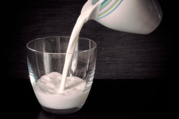 Jarra leche (1)