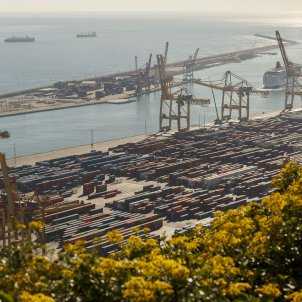 Exportacions Sergi Alcàzar Exportacions Sergi Alcàzar