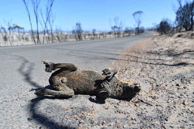 incendis austràlia efe