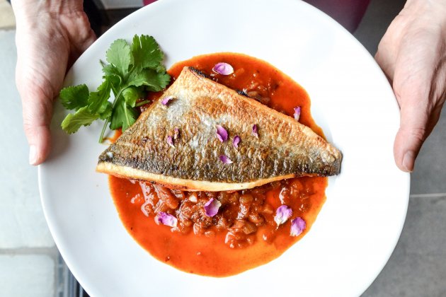 pescado|pez unsplash