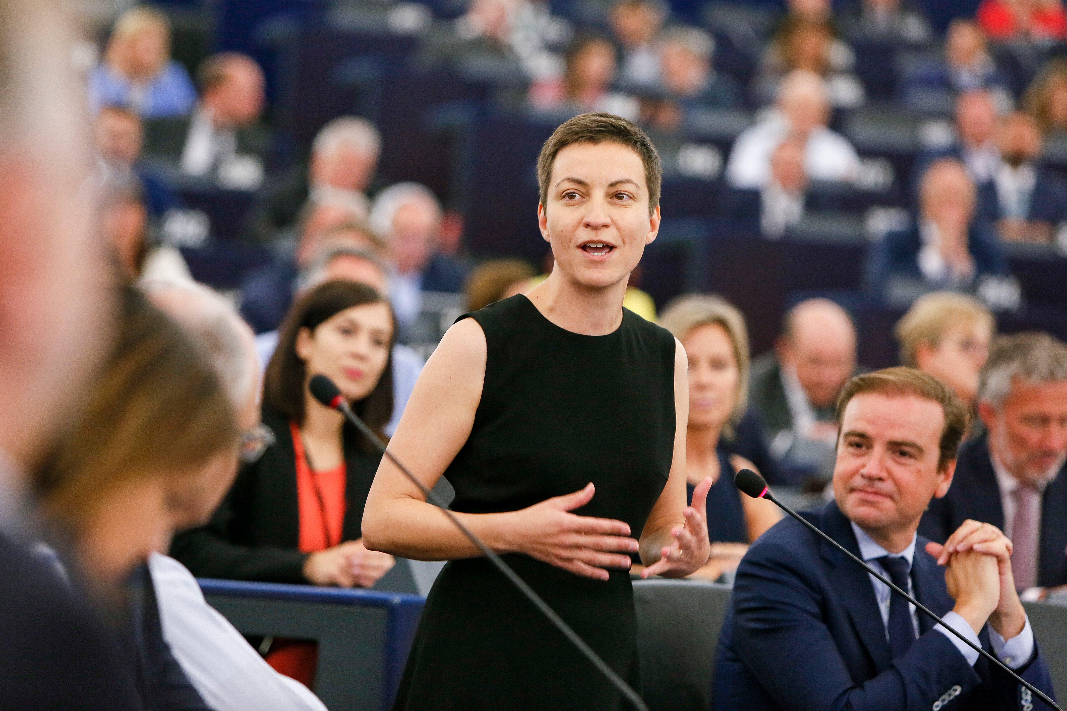 Los verdes europeos lamentan la decisión del Supremo sobre Junqueras