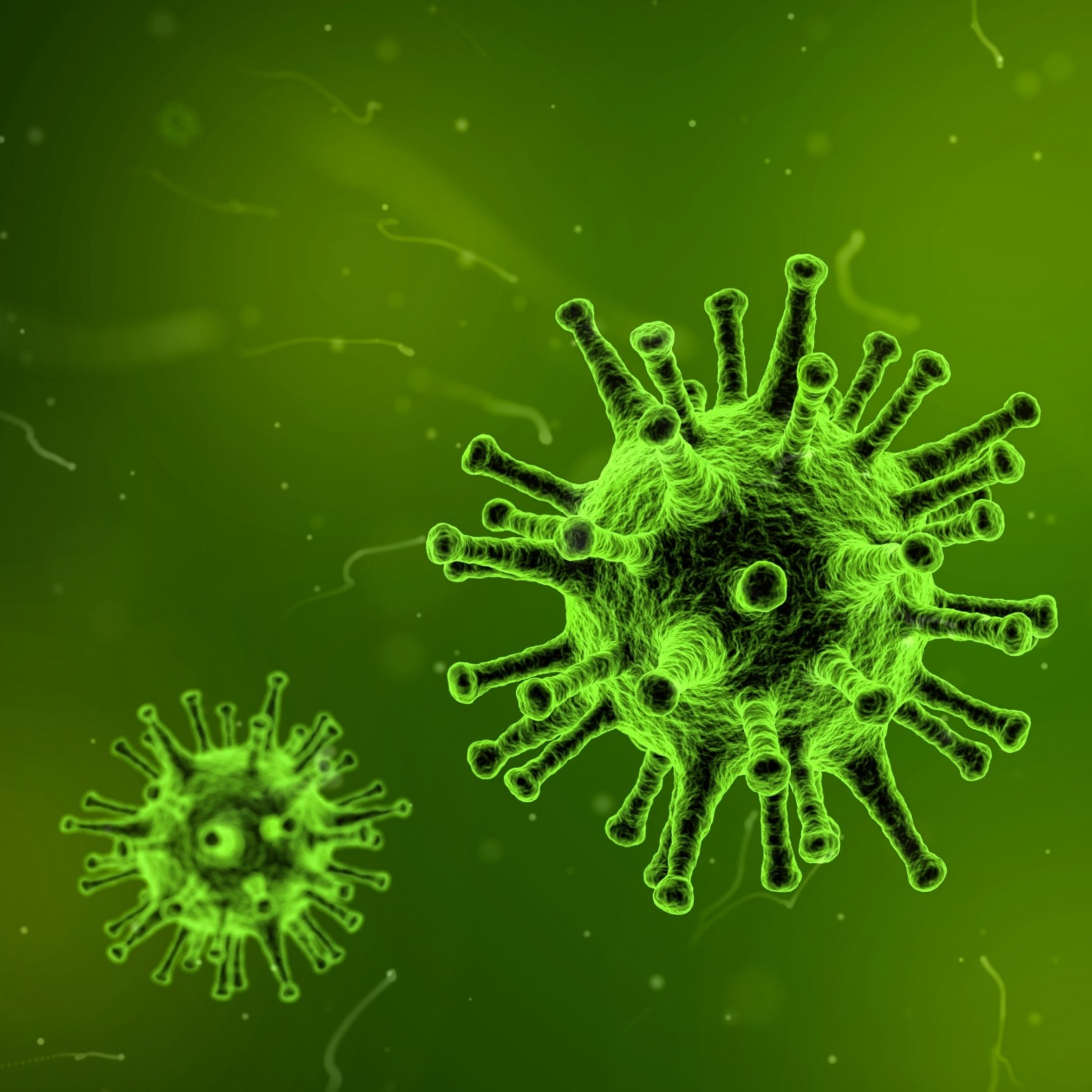 Apareix un nou virus a la Xina i es tem que s'expandeixi