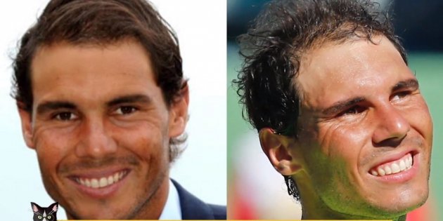 comparativa rafa t5